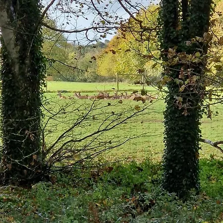 Country 5km From Doneraile Casa vacanze Shanballymore