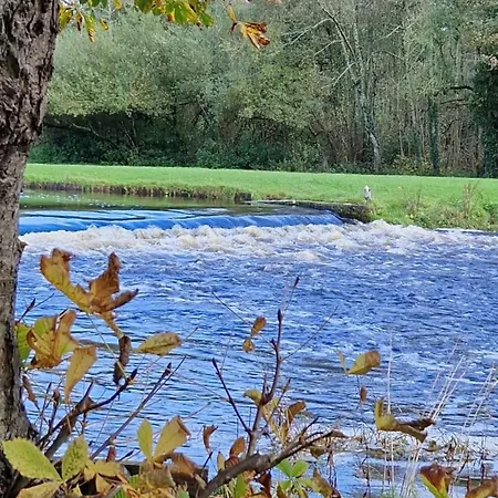 Country 5km From Doneraile * Shanballymore